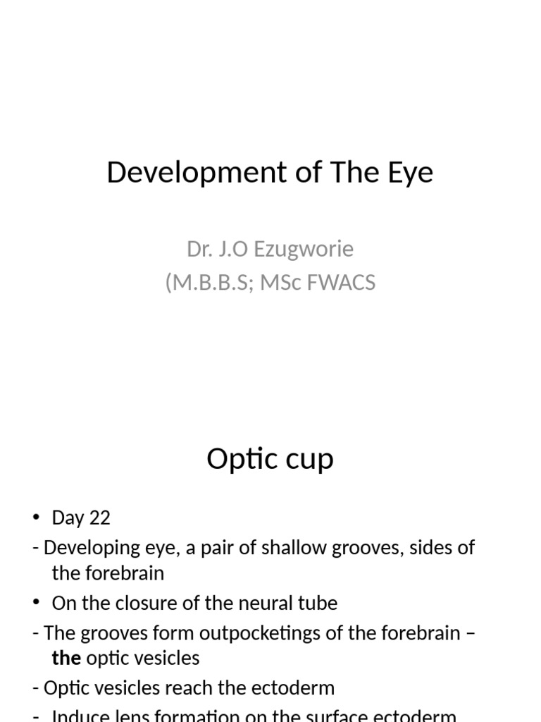 Eye Development and Abnormalities Overview | PDF | Facial Features ...