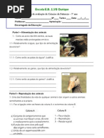 Teste avaliação ciências da natureza 5º ano Alimentação dos animais