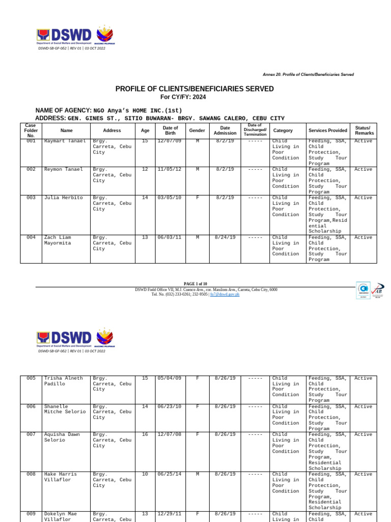 2024 DSWD Beneficiary Profiles | PDF | Welfare