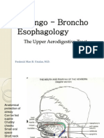 Laryngo Broncho Esophagology