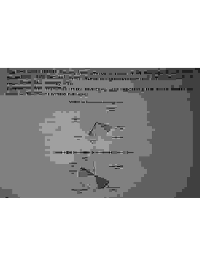 11zon JPG-to PDF | PDF
