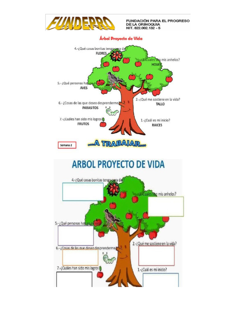 Arbol Proye | PDF