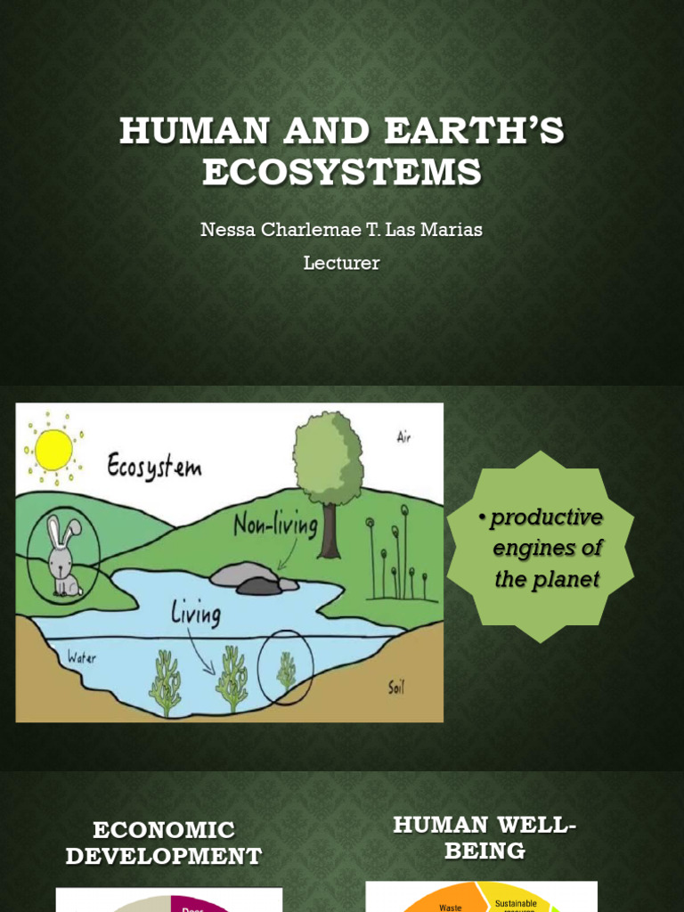Humans and Earths Ecosystems | PDF | Forests | Grassland