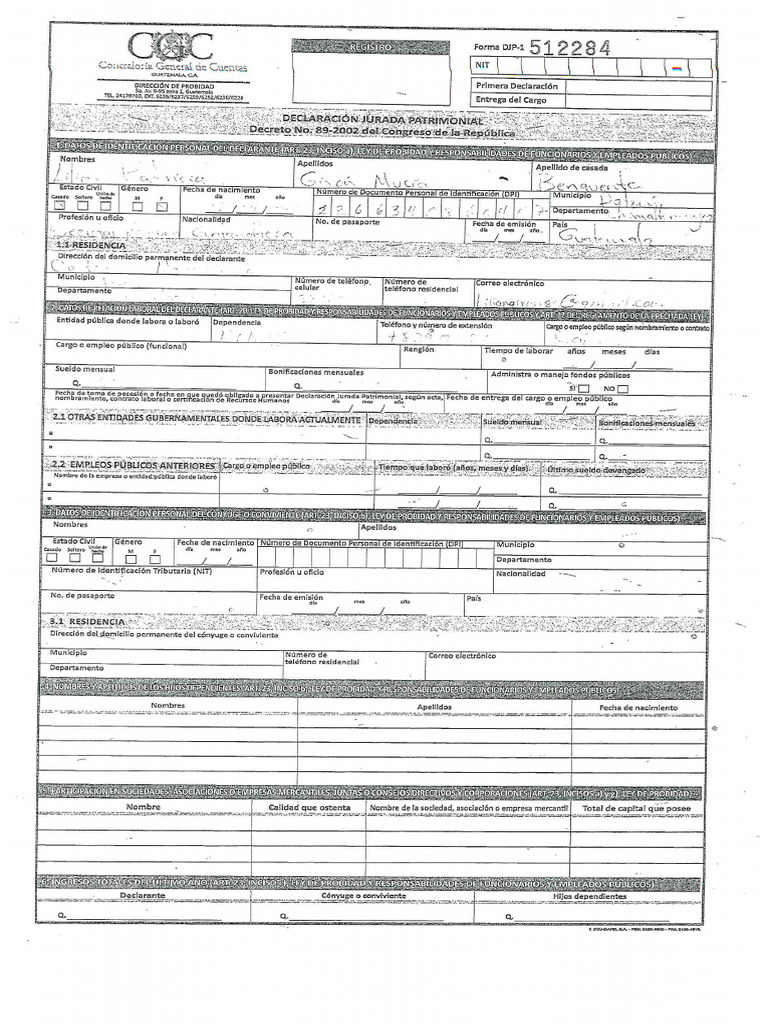 Formulario DJP 1 | PDF