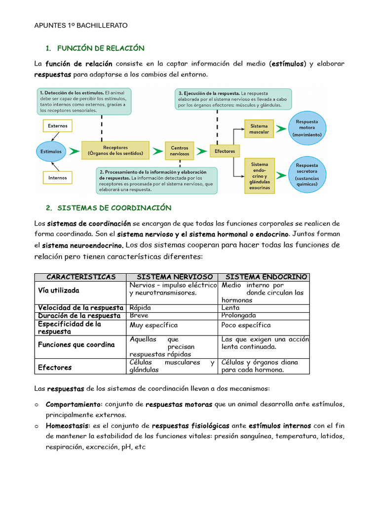 Función de Relación y Sistema Nervioso | PDF | Sinapsis | Sistema nervioso