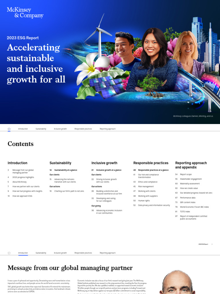 2023 McKinsey ESG Report Overview | PDF | Sustainability | Governance