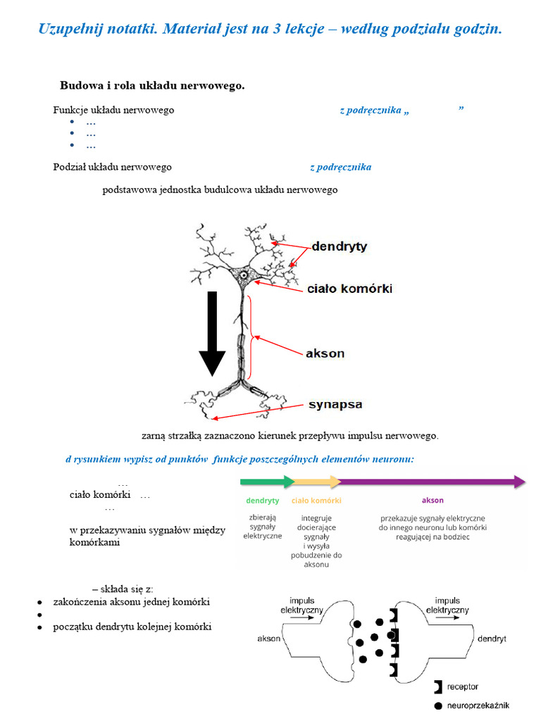 Biologia 7c-4 | PDF