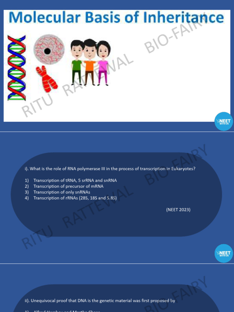 PYQ Molecular Basis of Inheritance | PDF | Operon | Genetic Code