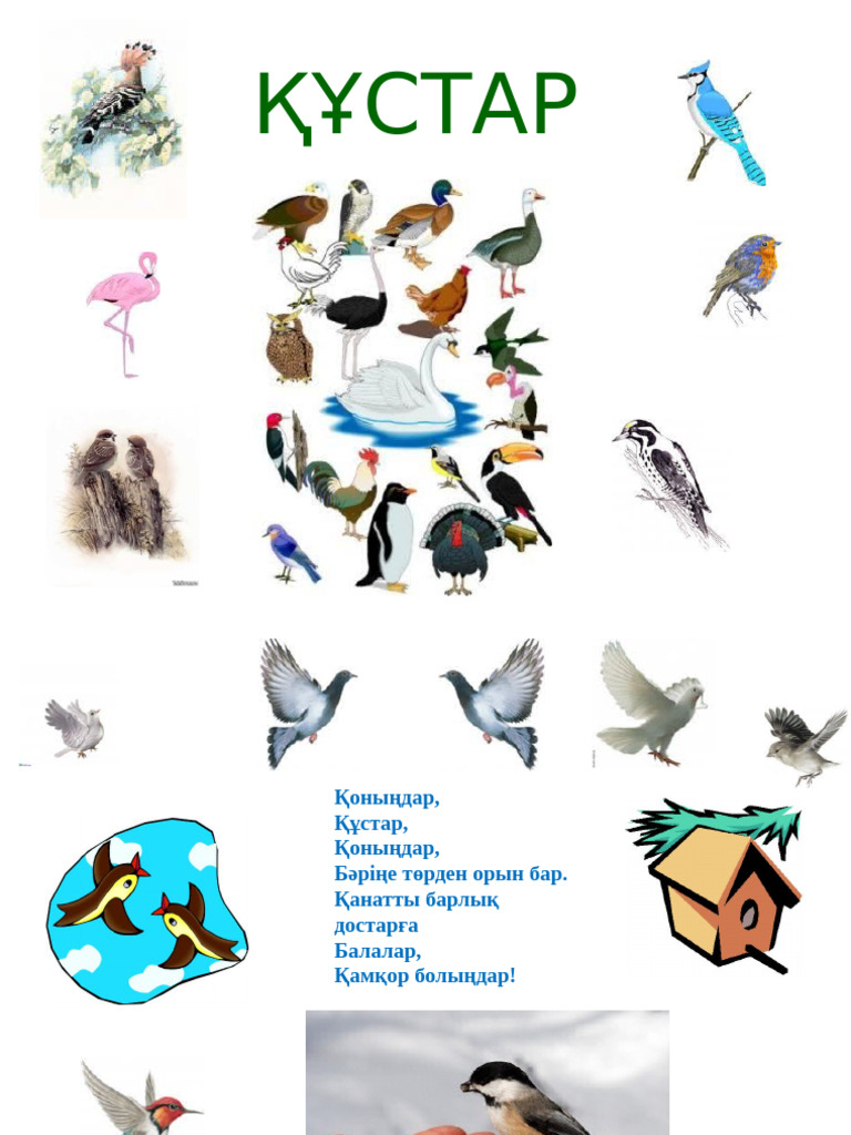 Порно секс анасы мен баласы