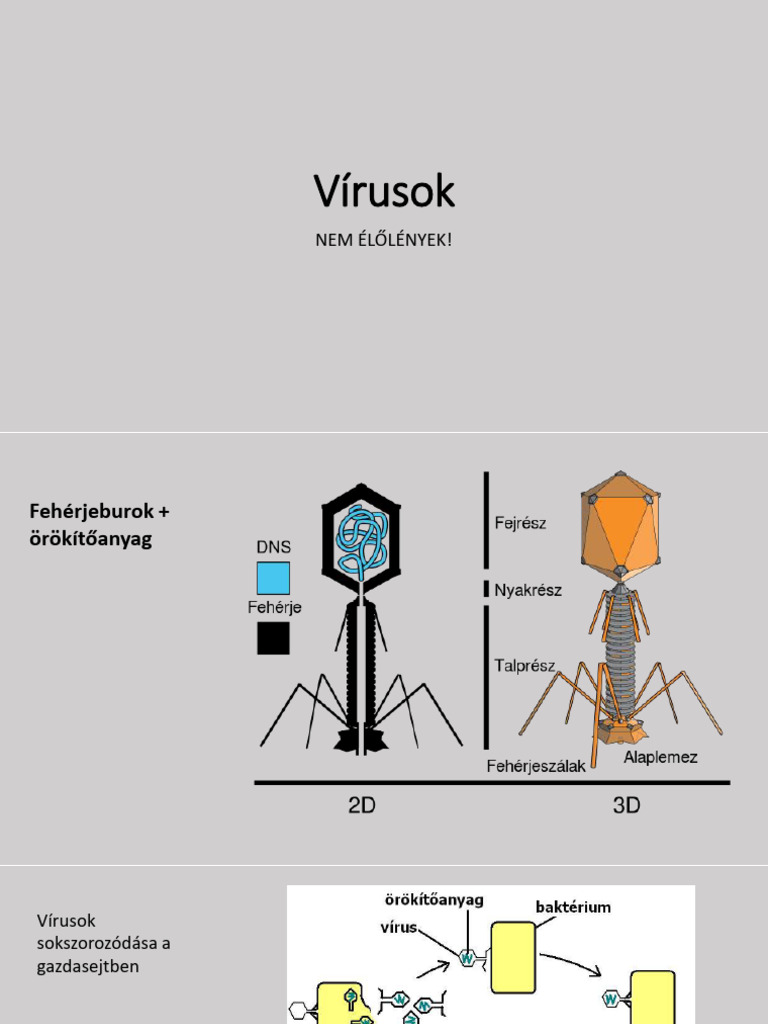 Vírusok, Egysejtűek | PDF