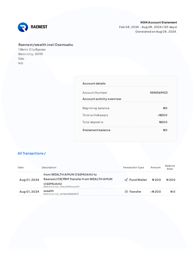 NGN Account Statement Summary 2024 | PDF