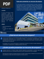 Recurso de Amparo en Honduras: Guía Legal | PDF | Derecho ...