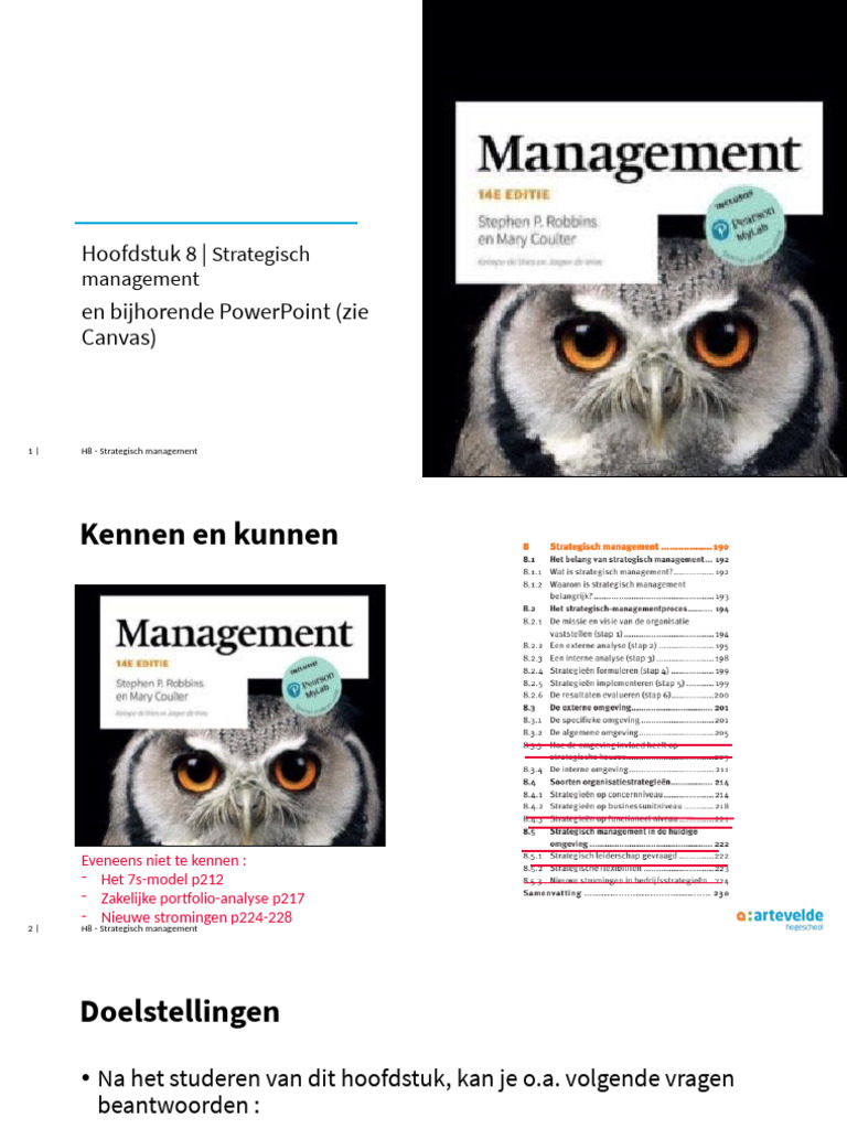 Les 8 Over Strategisch Management | PDF
