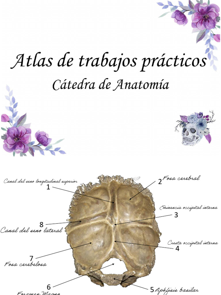 Atlas para Imprimir | PDF