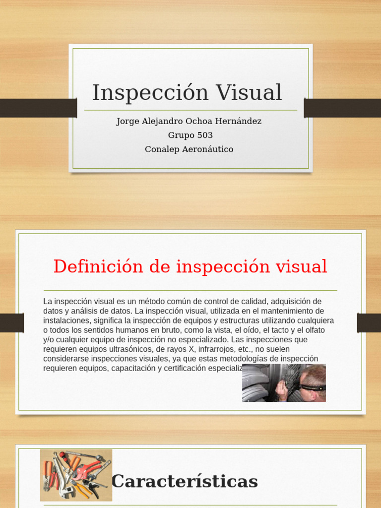 Inspección Visual-J8 | PDF