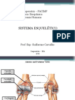 Anatomia Humana - Sistema Esqueletico