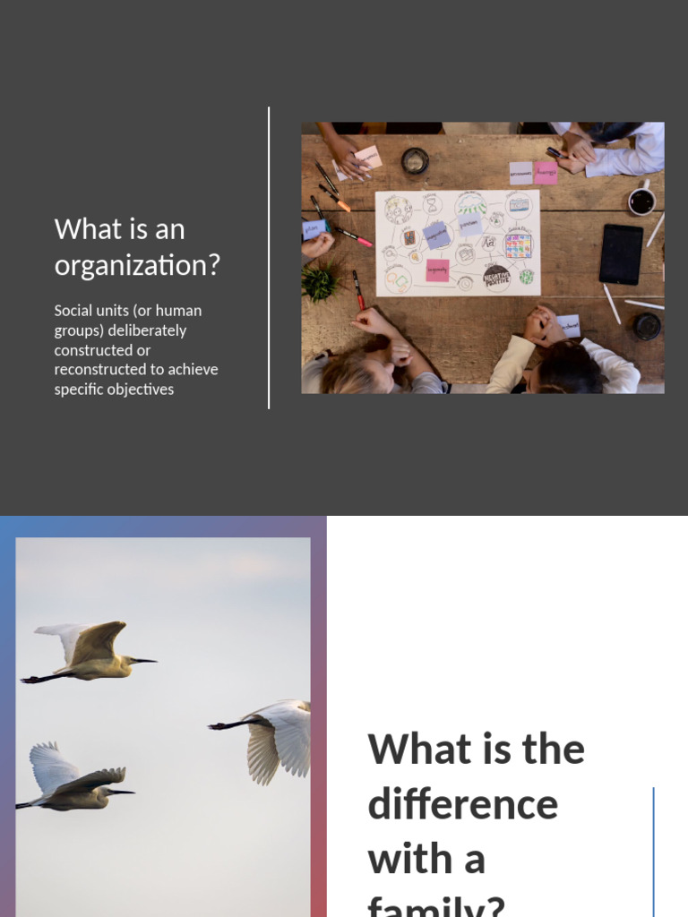 WHAT IS ORGANIZATION FEATURES EXAMPLES PROCESS FAQS visual data 3