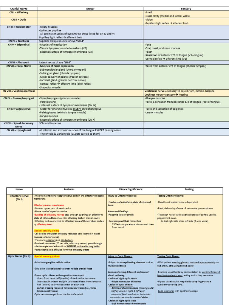 Cranial Nerve Functions and Testing Guide | PDF | Olfactory System ...