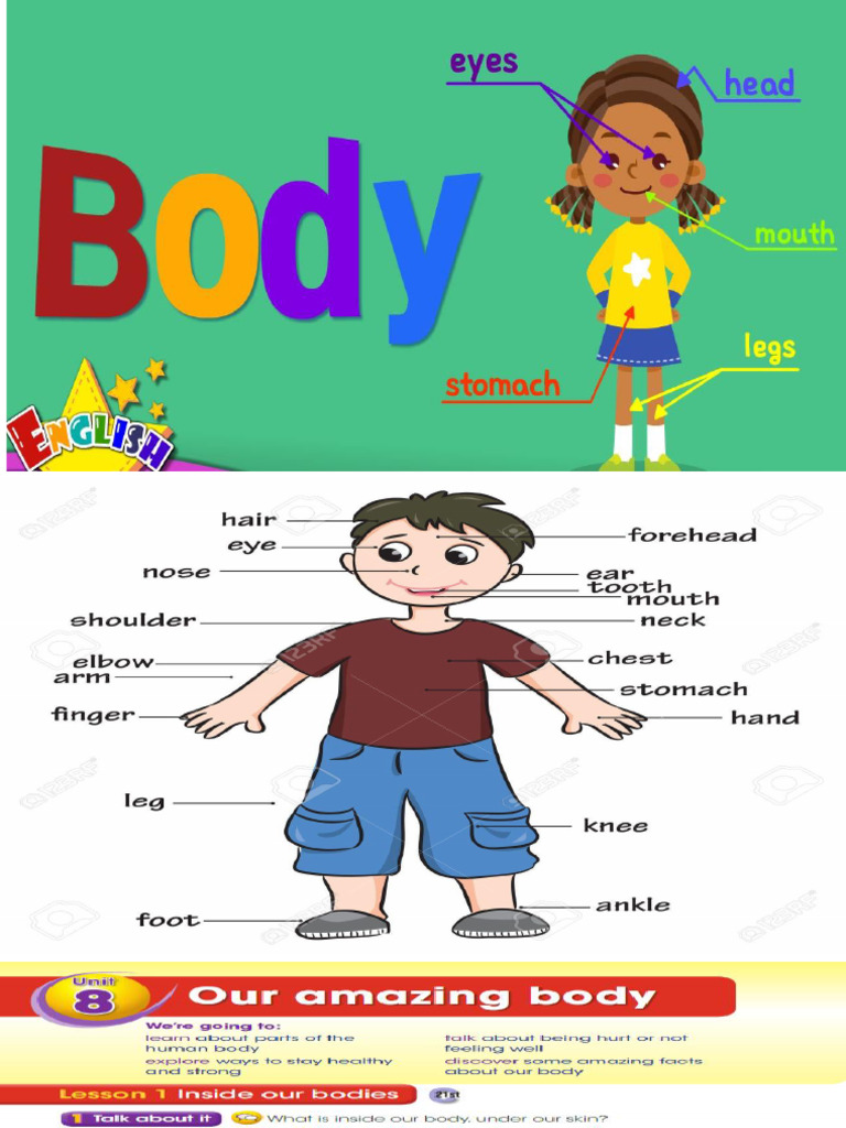 Body Parts and Healthy Habits Guide | PDF