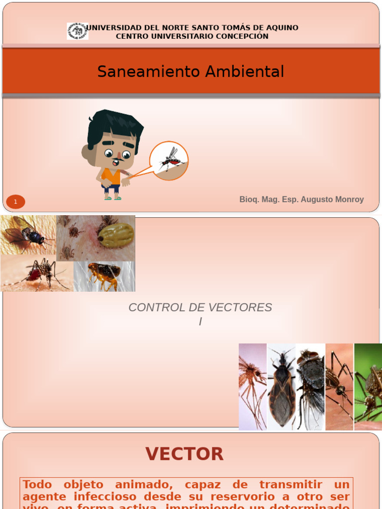 10-Clase Nº10-Control de Vectores I | PDF | Peste (enfermedad)