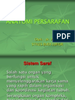 Sistem Saraf