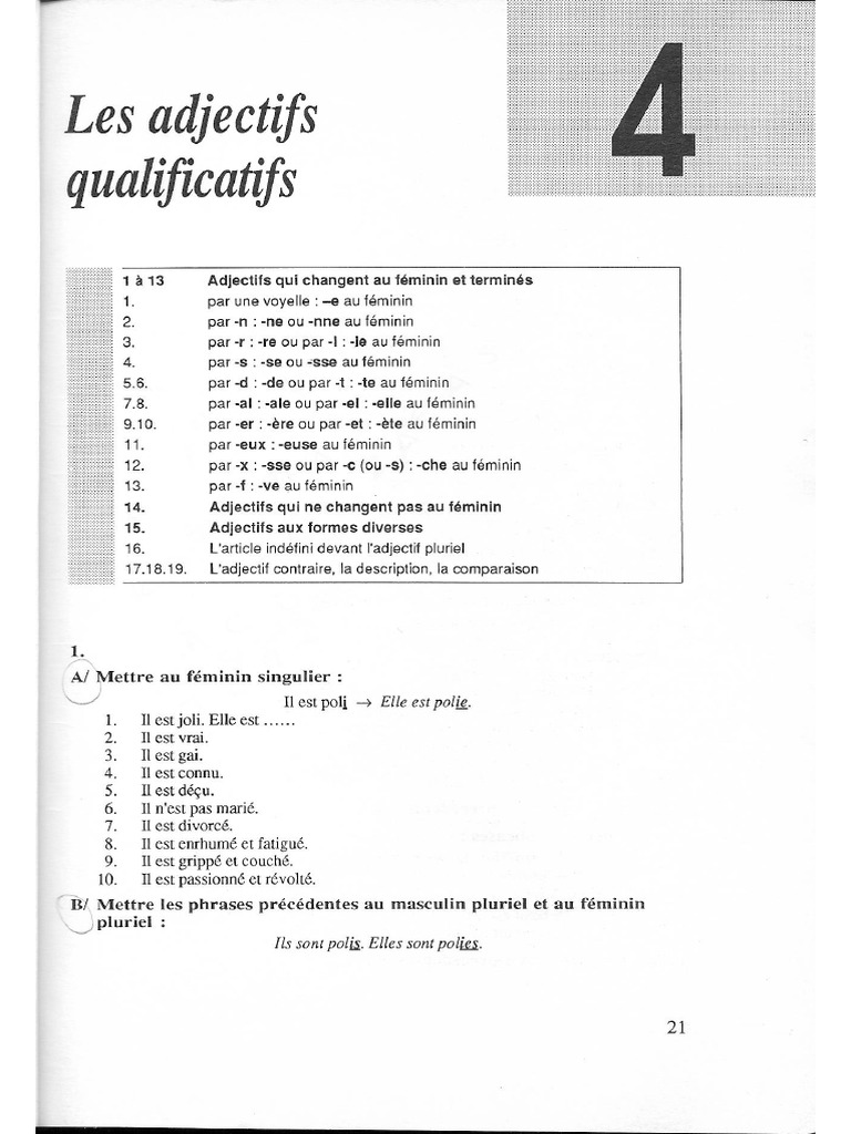 Unit+® 4 Adjectifs | PDF