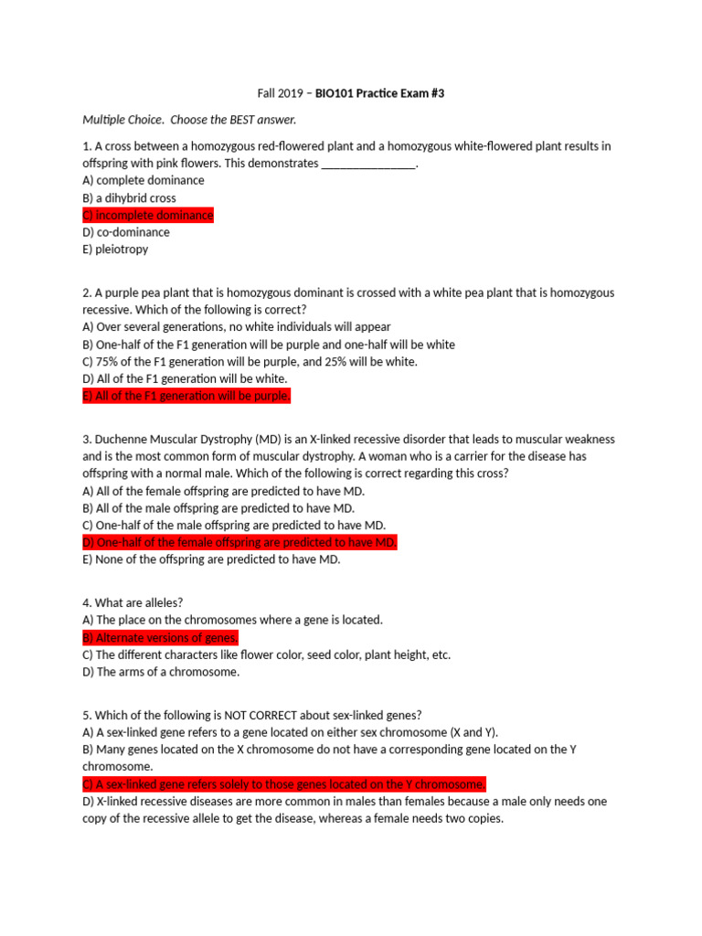 DNA Replication and Gene Expression Exam | PDF | Dominance (Genetics) | Dna