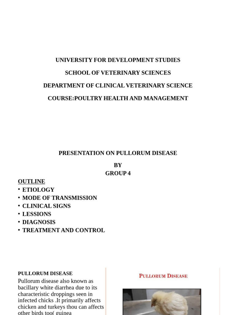 Pullorum Disease (Group Four) Updated 2 | PDF | Microbiology | Clinical ...