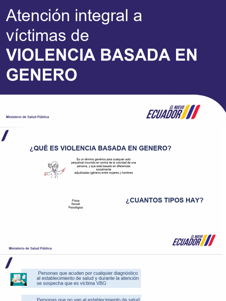 Atención Integral a Víctimas de VBG | PDF | La violencia contra las ...