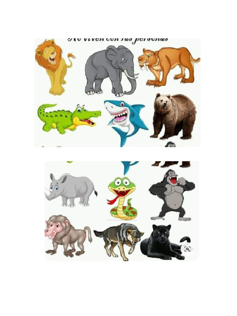 ANIMALS | PDF