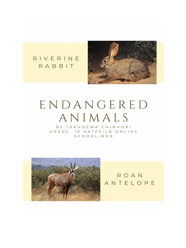 Riverine Rabbit and Roan Antelope Facts | PDF | Wildlife | Natural ...