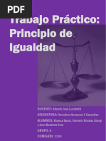 Principios Rectores de Derechos Humanos | PDF | Derechos humanos ...
