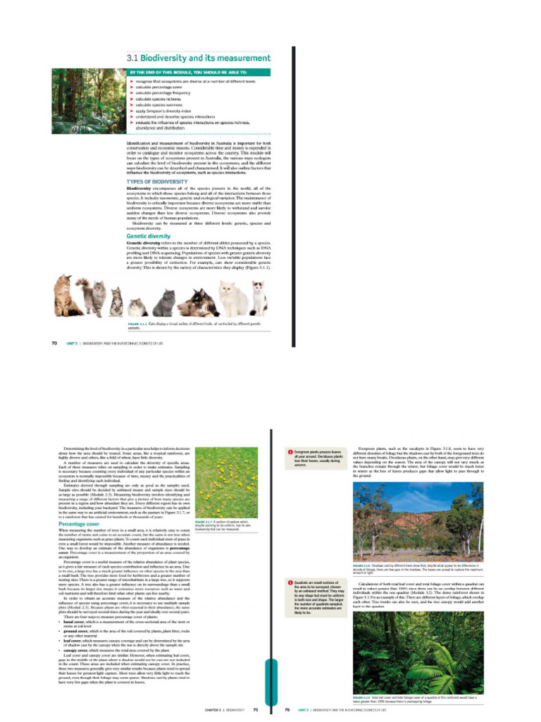 3 1 | PDF