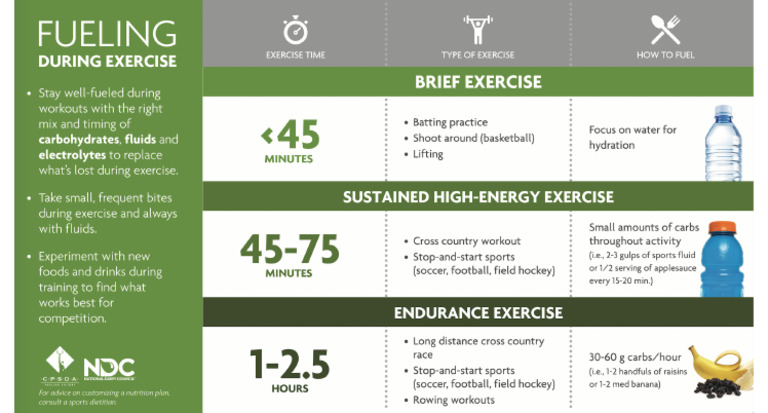 Fueling During Exercise Screen Shot | PDF