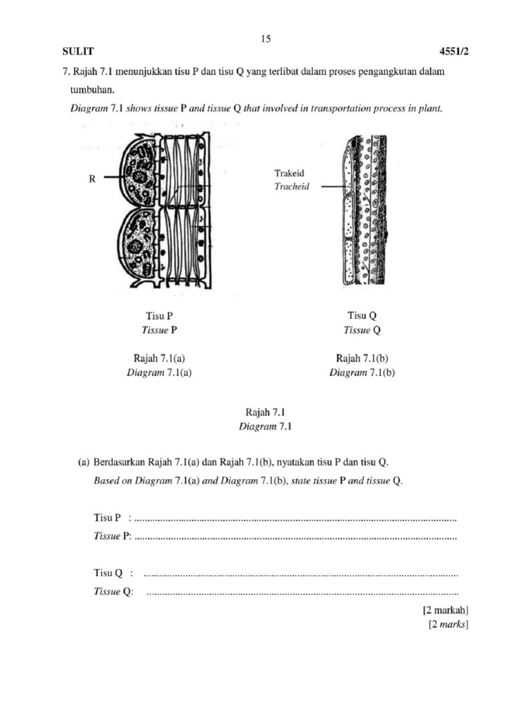 T5 Bab 4 | PDF