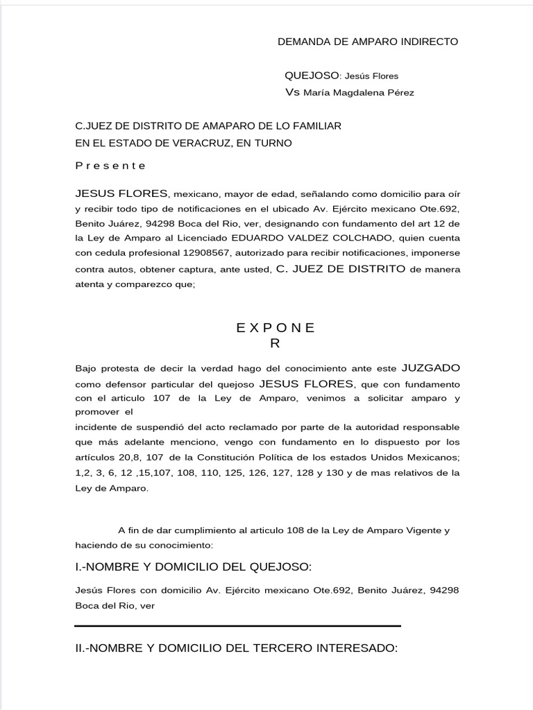 Demanda de Amparo Indirecto en Veracruz | PDF | Justicia | Crimen y ...