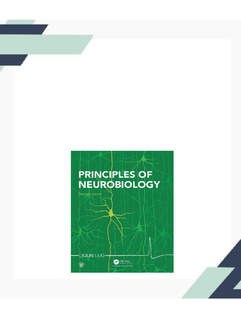 【新品未使用】Principles of Neurobiology 418oUSX2MgL._UF894,1000_QL80_.jpg