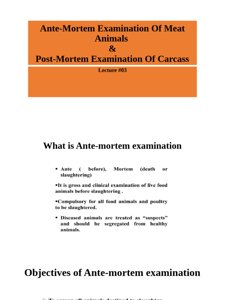 Ante-Mortem and Post-Mortem Meat Inspection | PDF