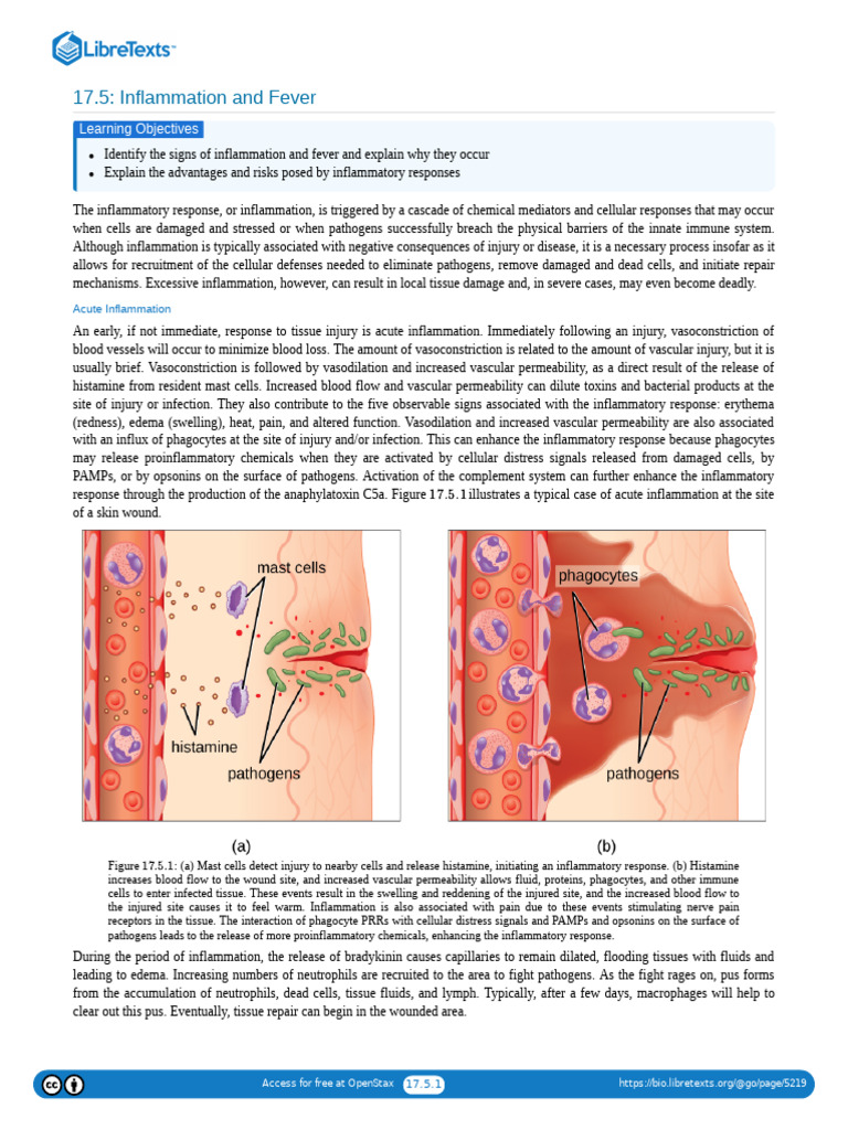 Inflammation and Fever | PDF | Inflammation | Fever