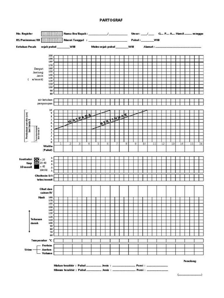 Form Partograf | PDF