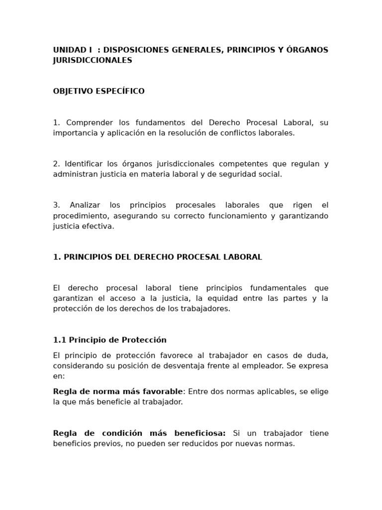 Principios del Derecho Procesal Laboral | PDF | Derecho laboral | Ley ...