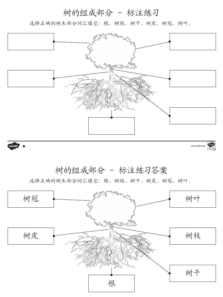 树的组成部分 | PDF