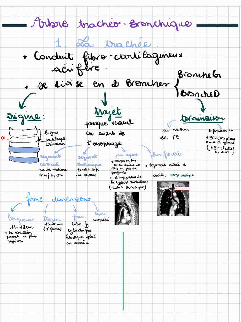 Notes 241012 134231 | PDF