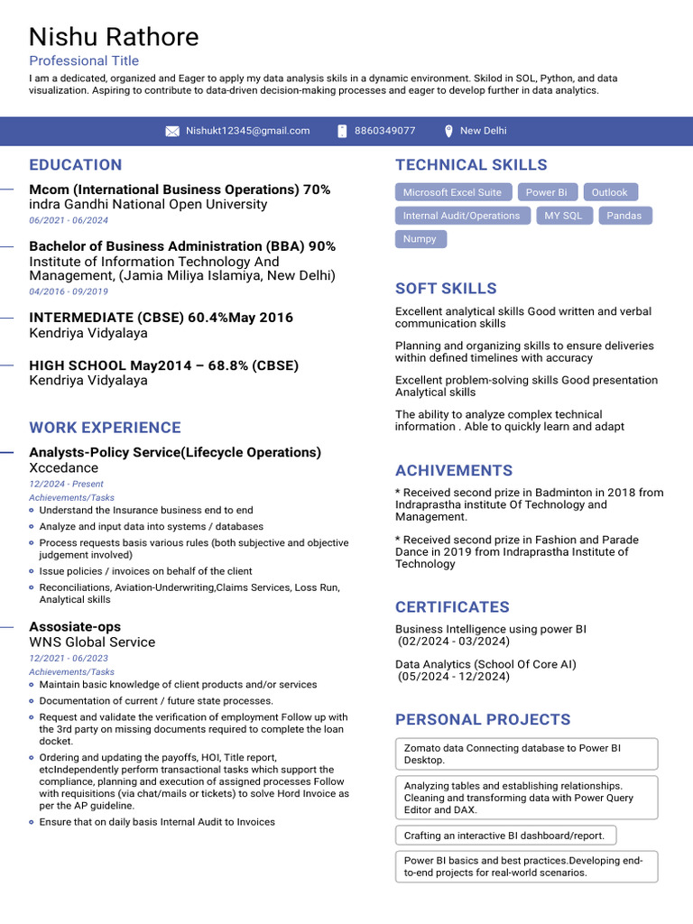 Nishu Rathore: Data Analyst Profile | PDF | Databases | Data