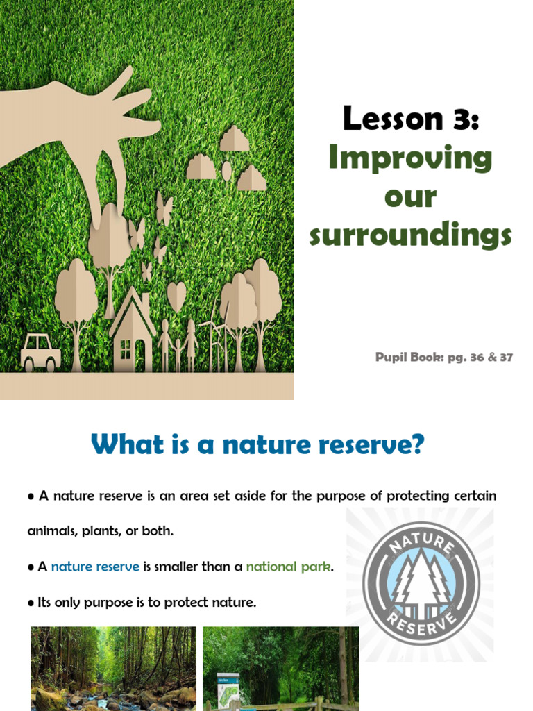 Lesson 3 Improving Our Surroundings PDF