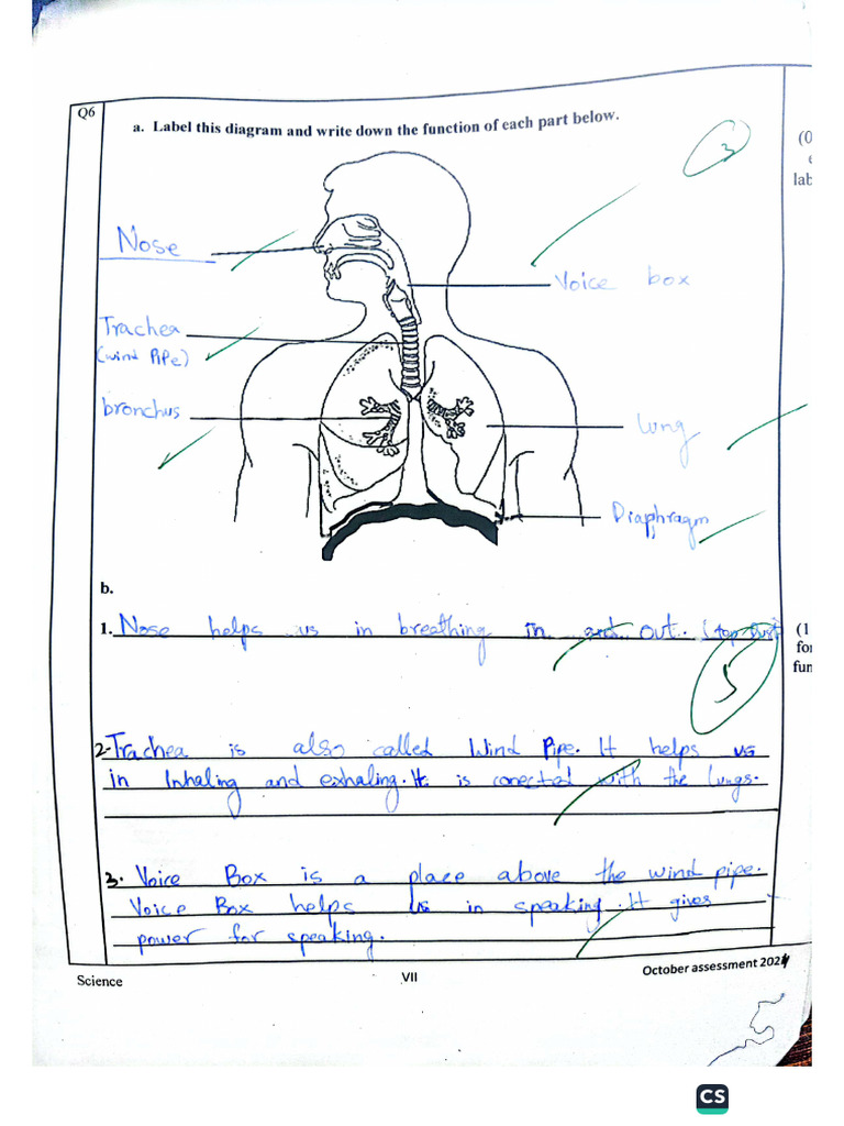 Science Grade 8 Worksheet | PDF