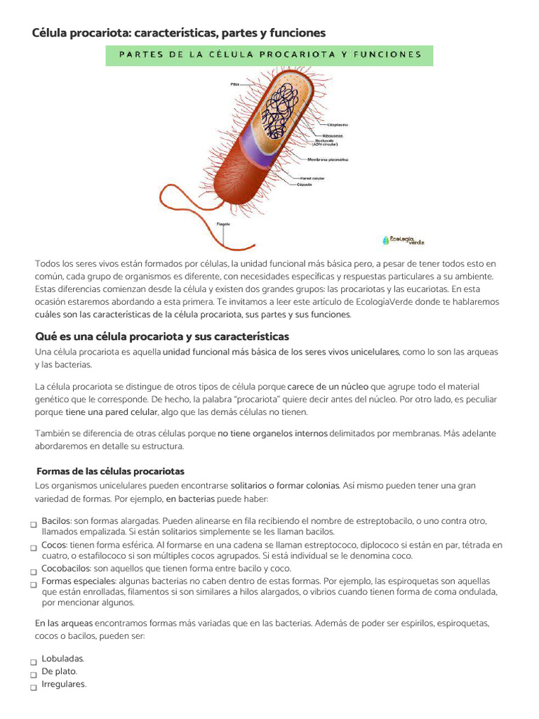 Características y funciones de células procariotas | PDF | Biología ...