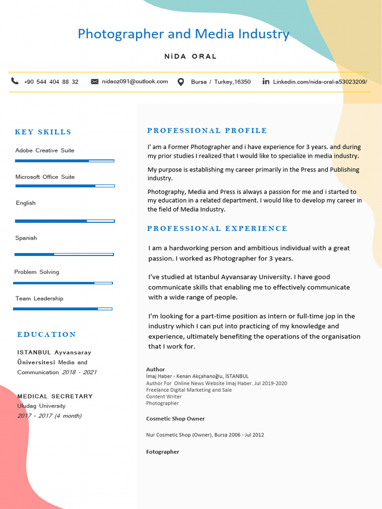 Media Industry Career Profile: Nida Oral | PDF