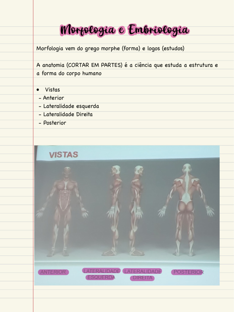 Morfologia Humana: Estruturas e Estudo | PDF | Anatomia | Corpo humano