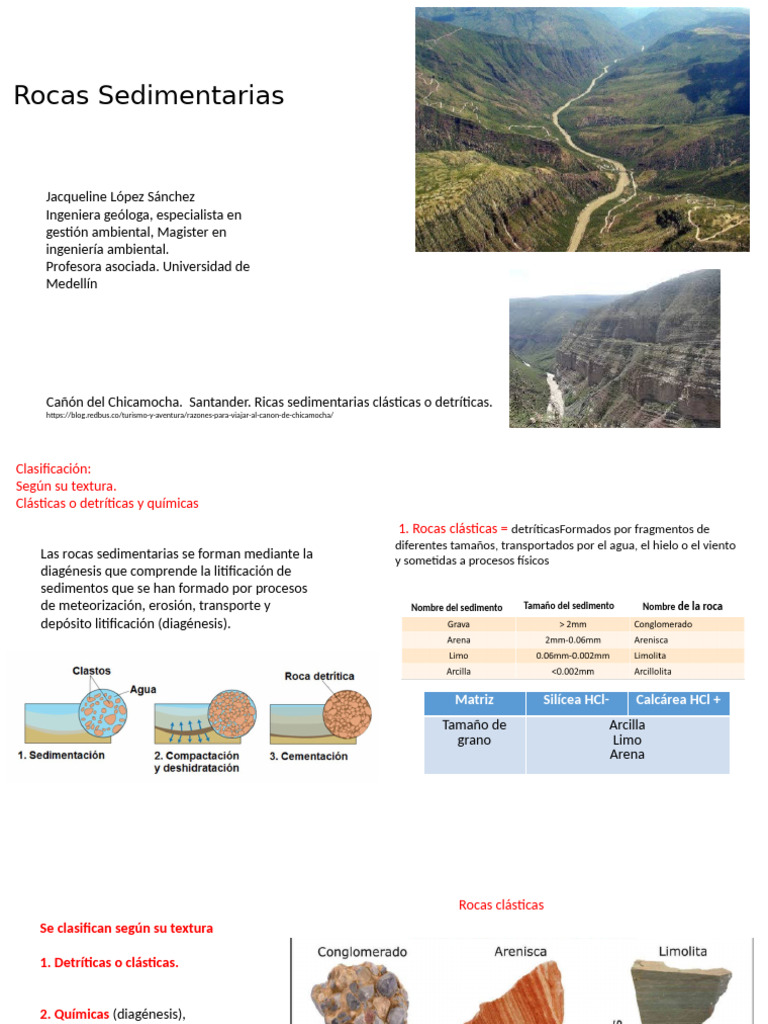 Rocas Sedimentarias - 2021 | PDF | Roca clástica | Roca sedimentaria